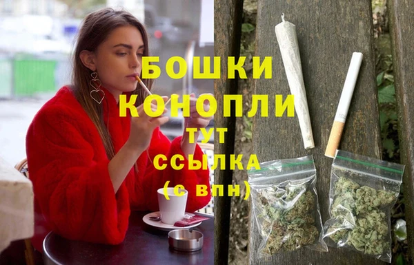 прущая мука Нея