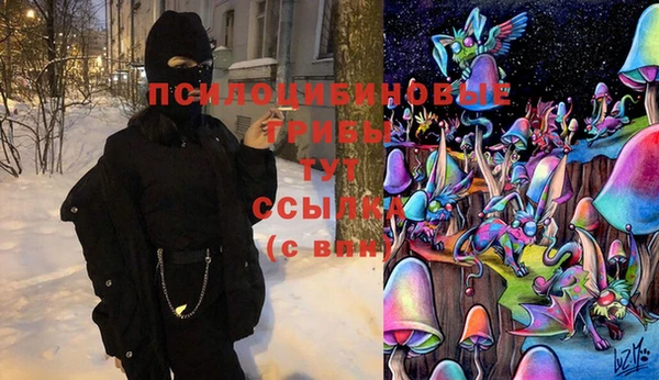 прущая мука Нея