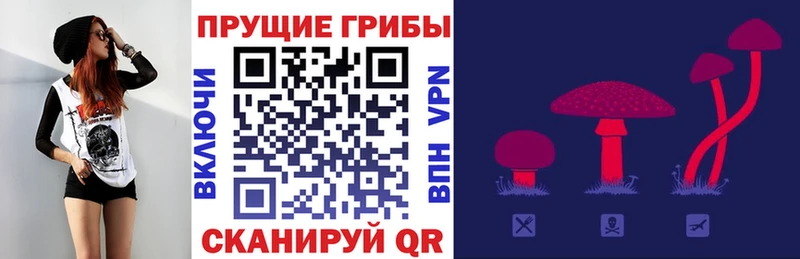 Галлюциногенные грибы Cubensis  Балахна 